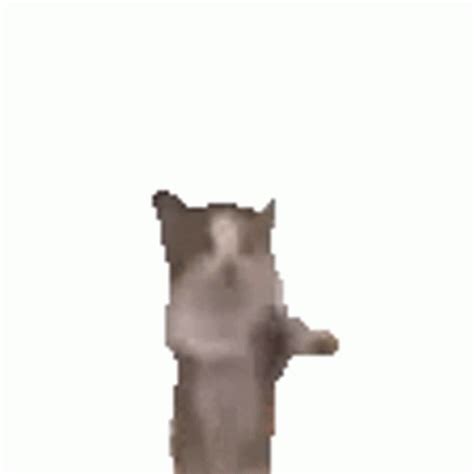 cat jumping meme gif